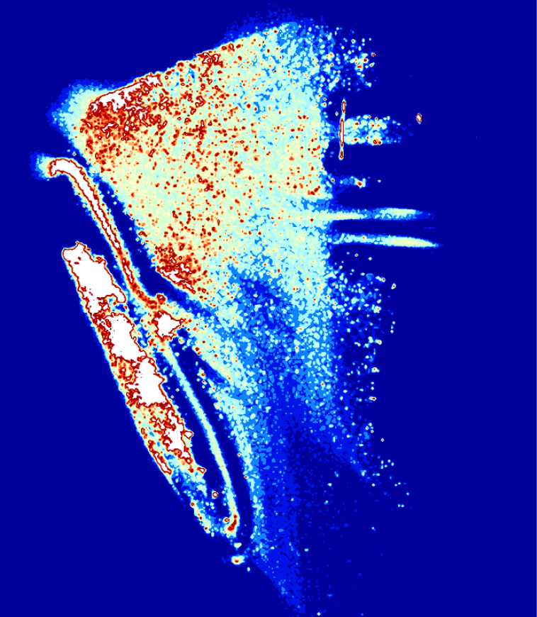 heat map