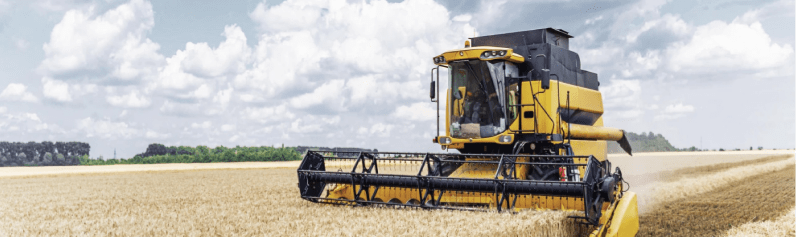 Harvester on a wheat field